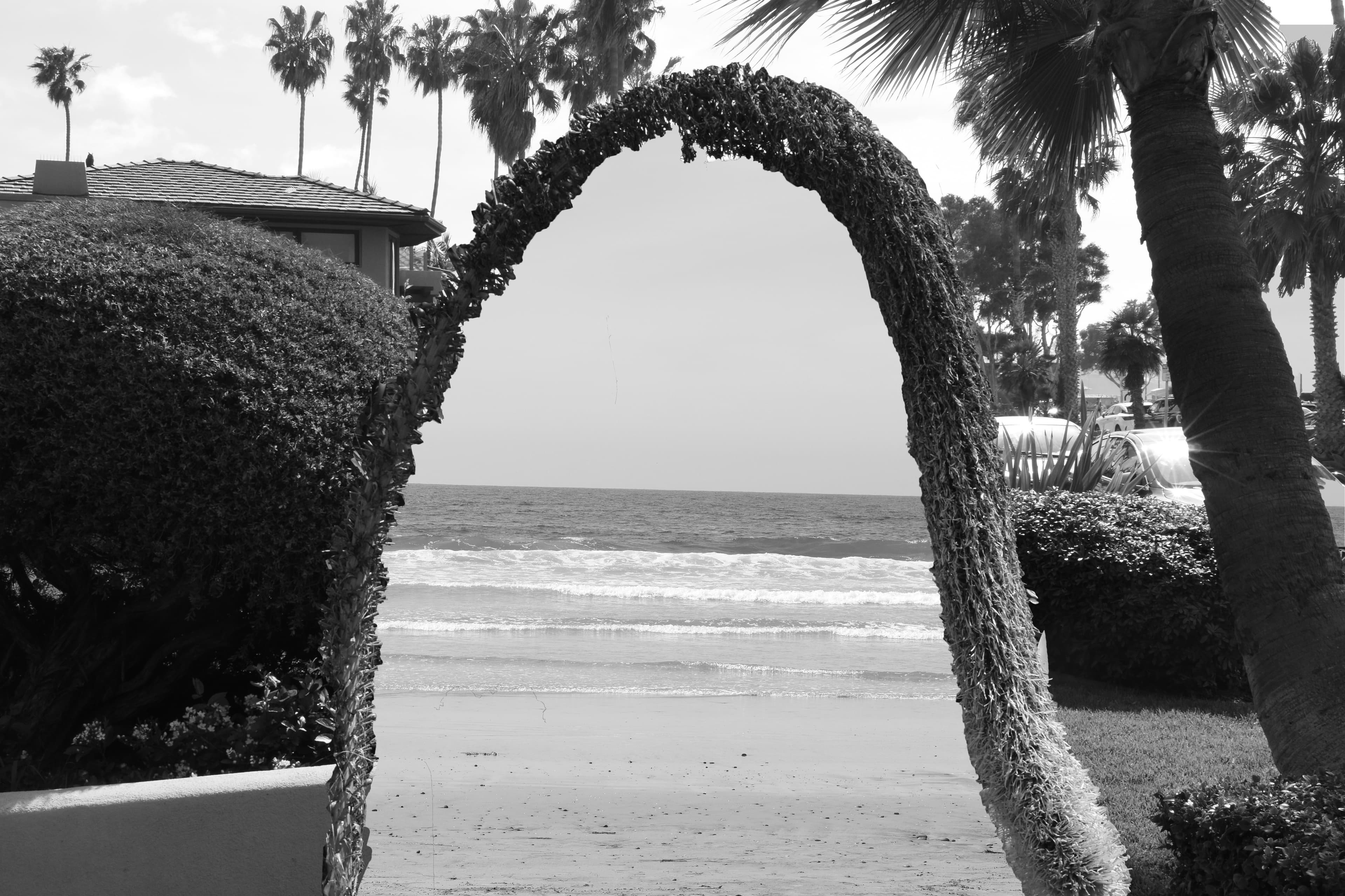 Photography gallery image 1