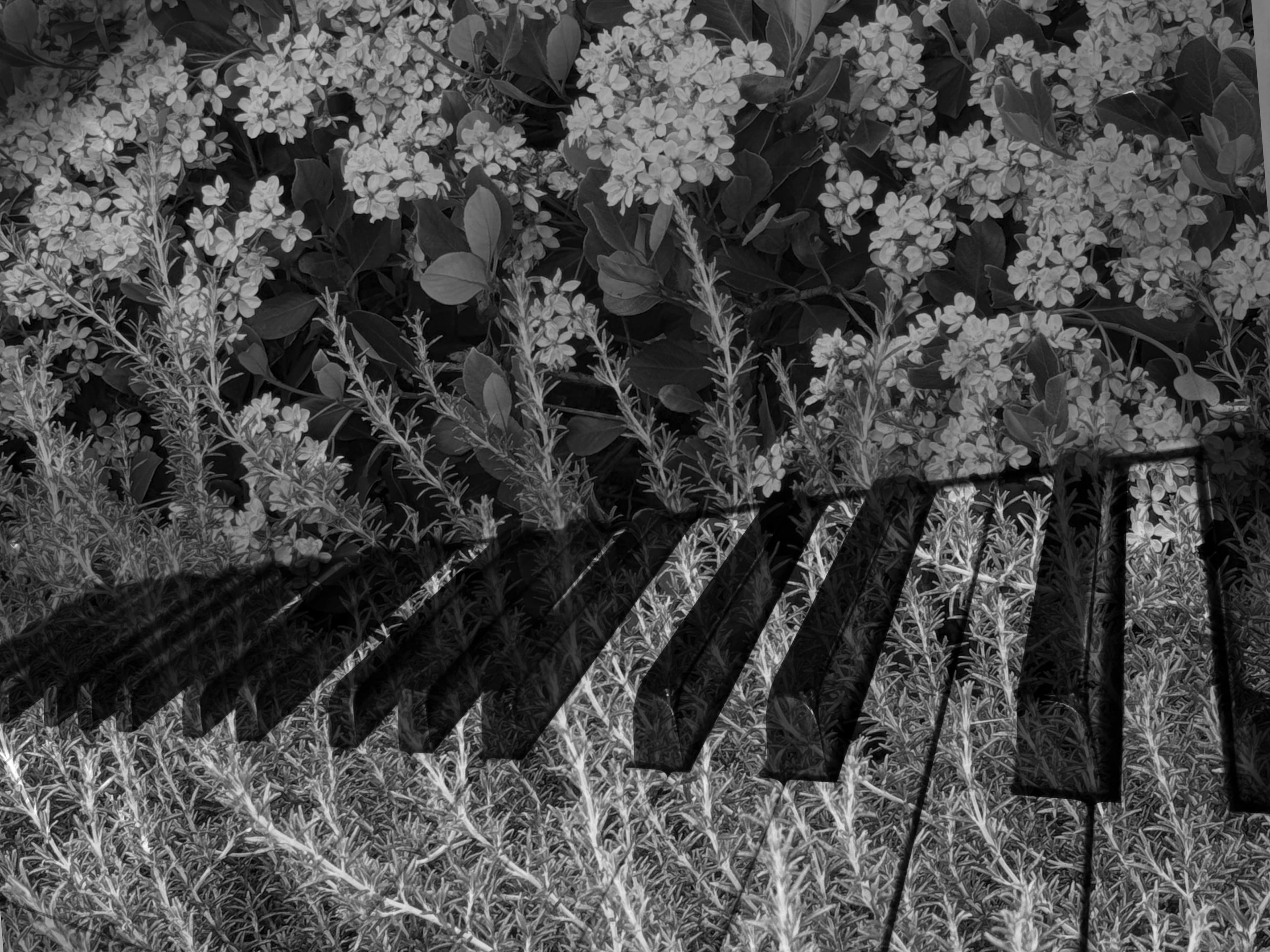 Photography gallery image 7