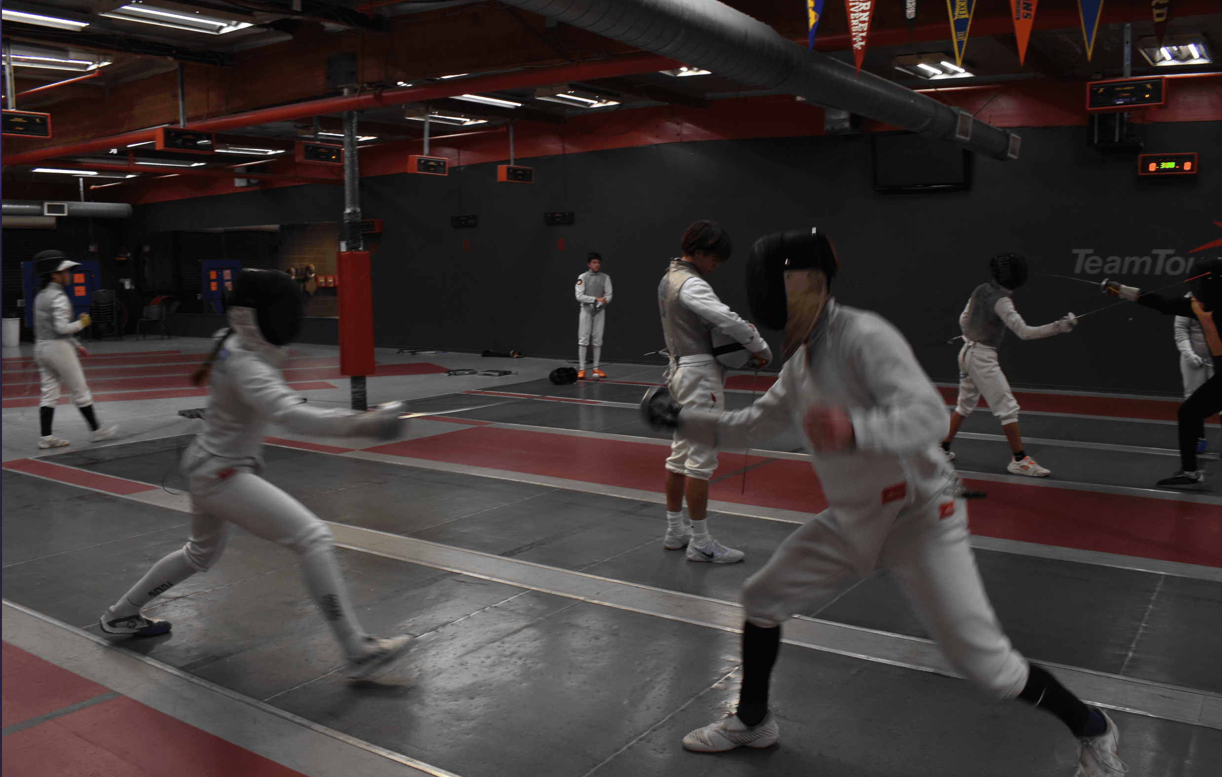 Fencing gallery image 3