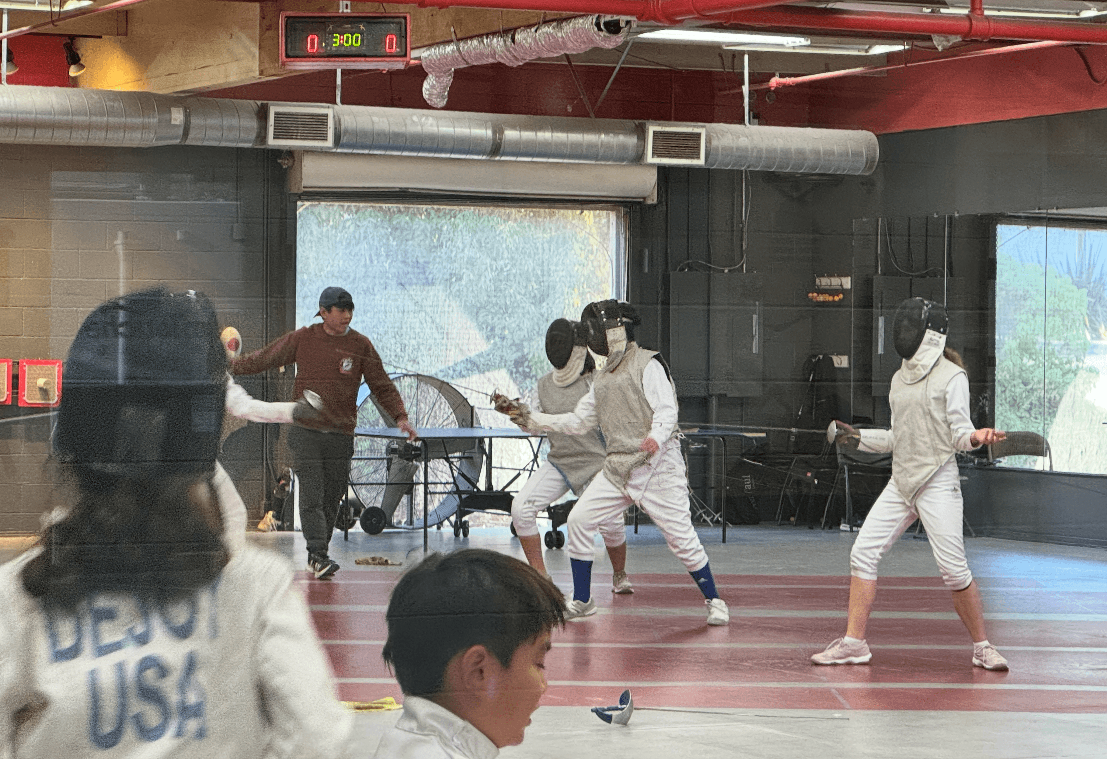Fencing gallery image 4