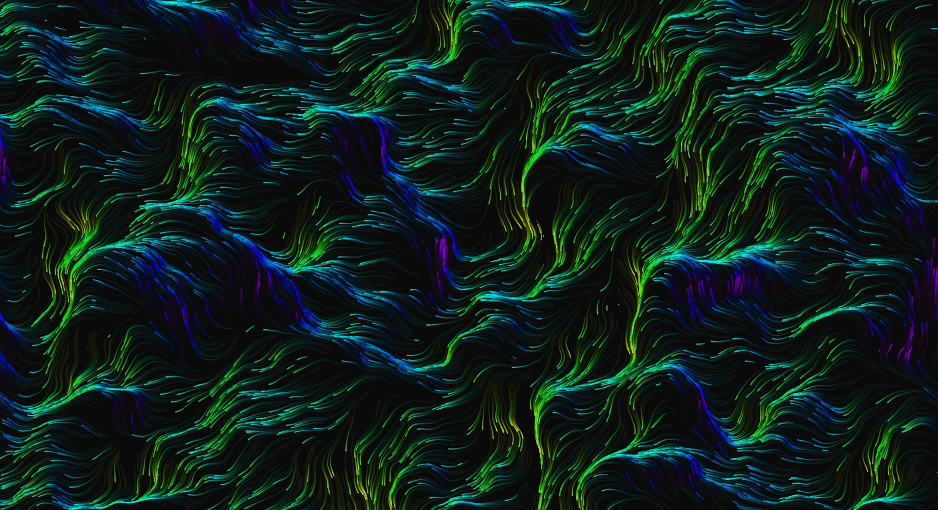 Gradient Perlin Flow Field project image