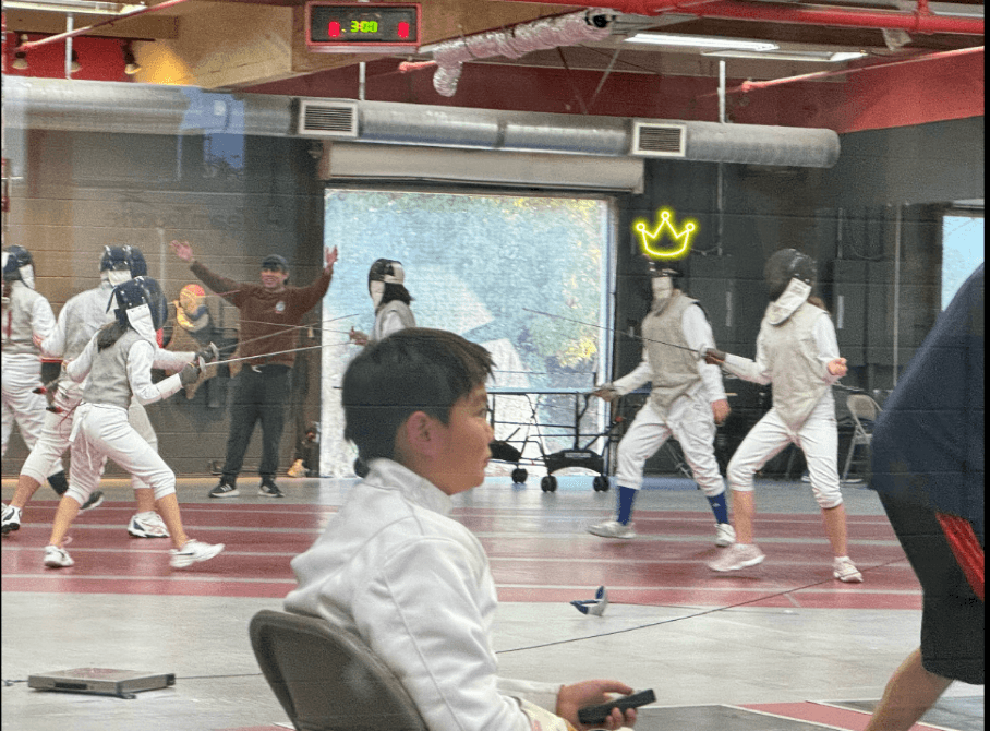 fencing